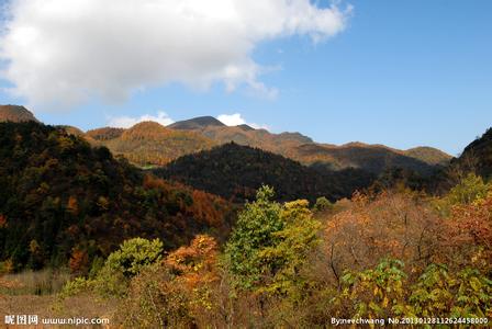 高坪天气预报30天查询,高坪区一个月天气