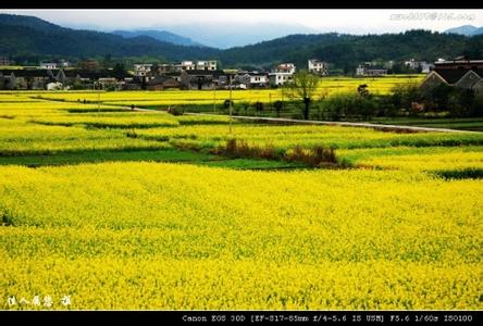 吉安永新天气预报_永新天气预报一周7天10天15天吉安永新天气预报,永新天气预报一周7天10天15天