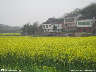 衡阳衡阳县天气预报_衡阳县天气预报一周7天10天15天衡阳衡阳县天气预报,衡阳县天气预报一周7天10天15天