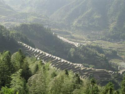 遂川pm2.5实时查询,遂川县空气质量指数查询