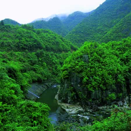 龙湾错误测速网