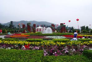 漳浦东南花都天气