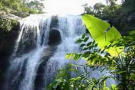 陵水白水岭热带森林保护区天气