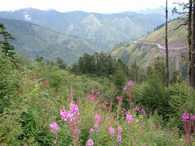 雅安杜鹃山天气