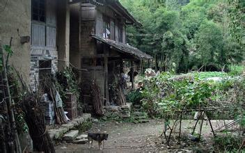 泰顺徐岙底古村落